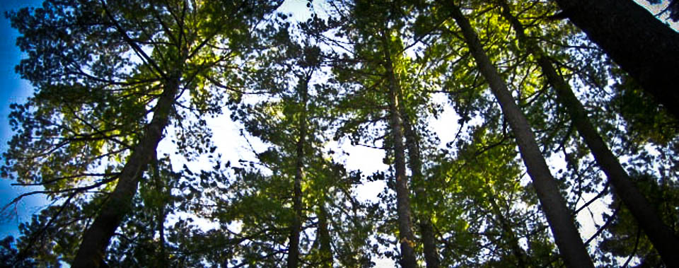 Great panaromic mountain view makes the best place to admire nature.